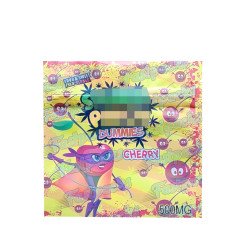 Dummies ~ 500MG Empty Mylar Bag