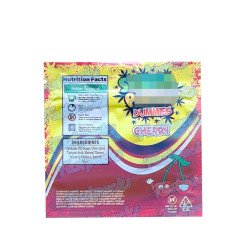 Dummies ~ 500MG Empty Mylar Bag