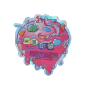 The Candy Shop ~ Candy Donut ~ 3.5G Die Cut Empty Mylar Bag The Candy Shop ~ Candy Donut ~ 3.5G Die Cut Empty Mylar Bag