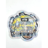 One Up Mushrooms ~ Shroom N Ride ~ Yellow 2.5G Holographic Die-Cut Empty Mylar Bag (2022) One Up Mushrooms ~ Shroom N Ride ~ Yellow 2.5G Holographic Die-Cut Empty Mylar Bag (2022)