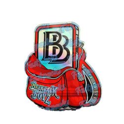 Backpack Boyz ~ Original Red ~ 3.5G Die-Cut Empty Mylar Bag