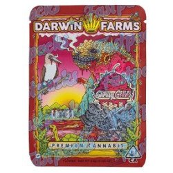 Darwin Farms ~ Cherry Gelato ~ 3.5G Empty Mylar Bag