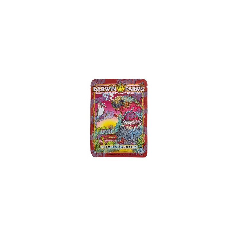 Darwin Farms ~ Cherry Gelato ~ 3.5G Empty Mylar Bag Darwin Farms ~ Cherry Gelato ~ 3.5G Empty Mylar Bag